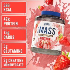 CRITICAL MASS CHOCOLAT MINT 2.4KG